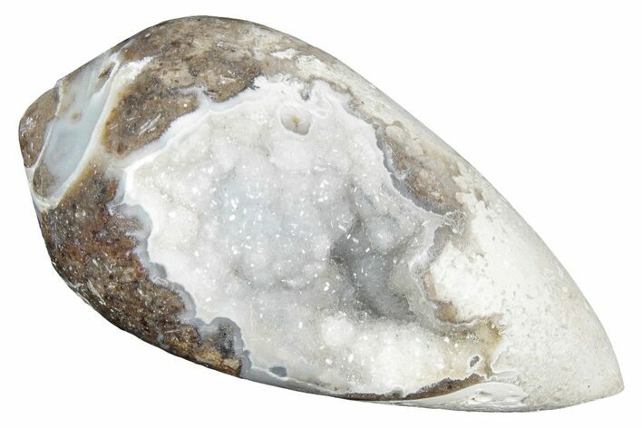 Chalcedony Replaced Gastropod With Sparkly Quartz - India #320810
